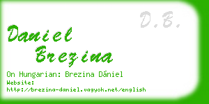 daniel brezina business card